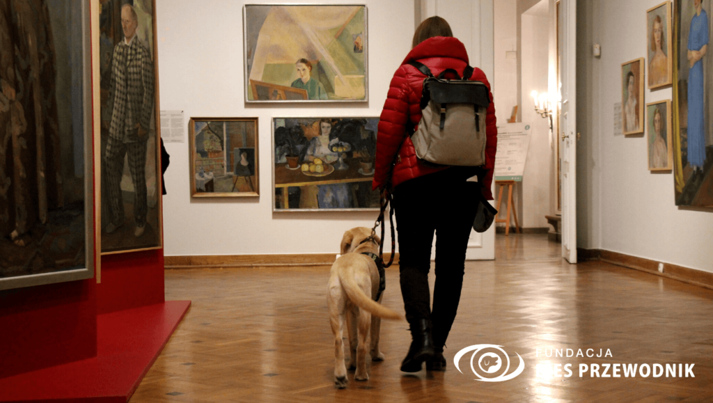 Przez salę muzealną pełną obrazów przechodzi wolontariuszka z psim adeptem, Barco. Piesek grzeczni idzie przy nodze opiekunki.